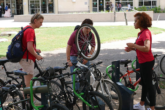 Bicycle Registration