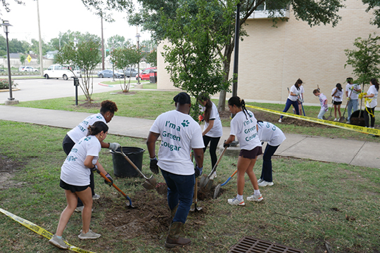 Earthweek