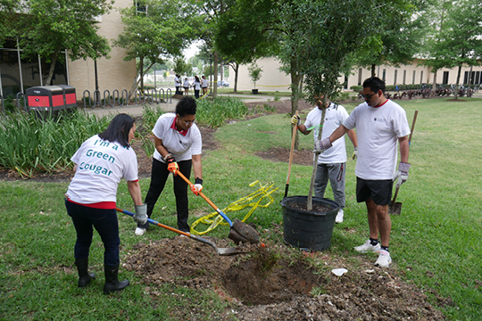 Earthweek