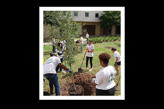 Earthweek
