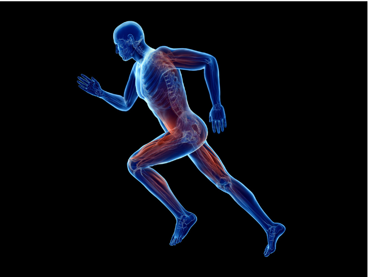 Ph.D. in Kinesiology with an emphasis in Motor Behavior