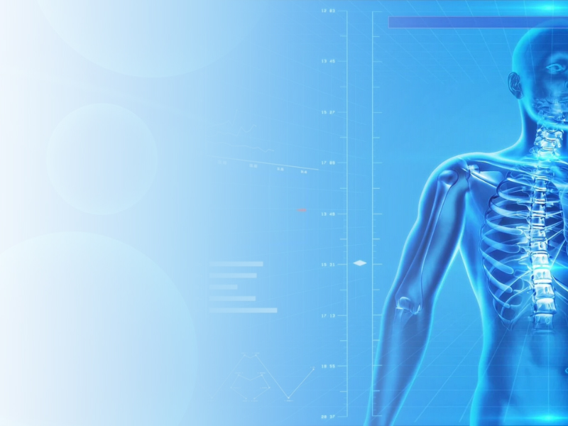 PhD in Kinesiology program