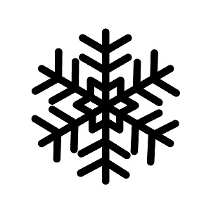 snowflake icon