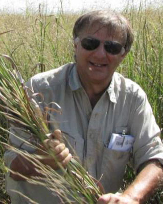 Dr. Steve Apfelbaum