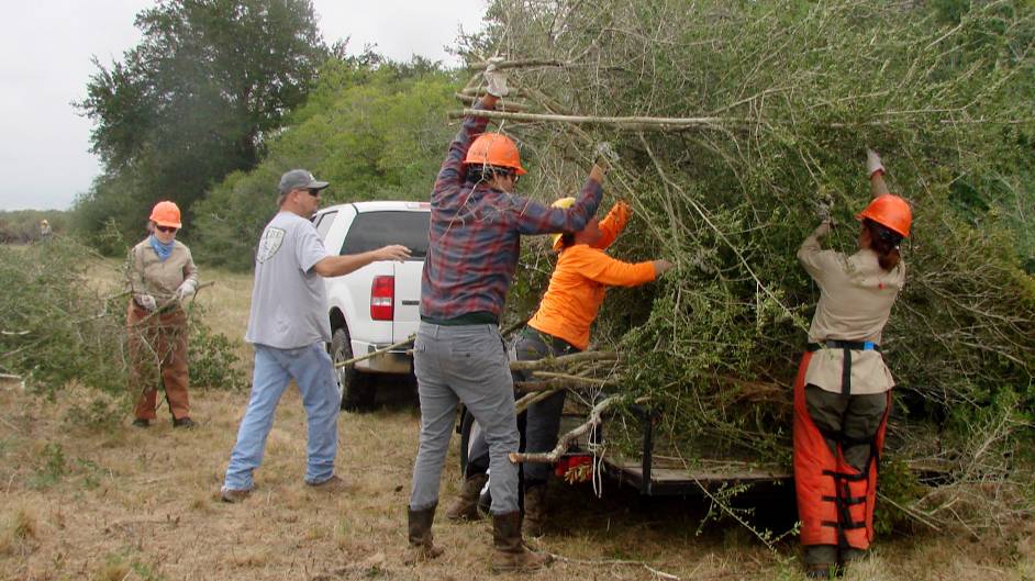 Texas Conservation Corps removing woody brush to restore coastal prairie.