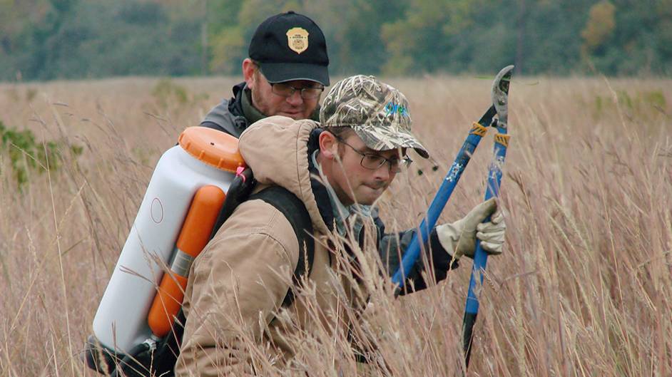 Texas Society for Ecological Restoration volunteers controlling invasive tallow trees.