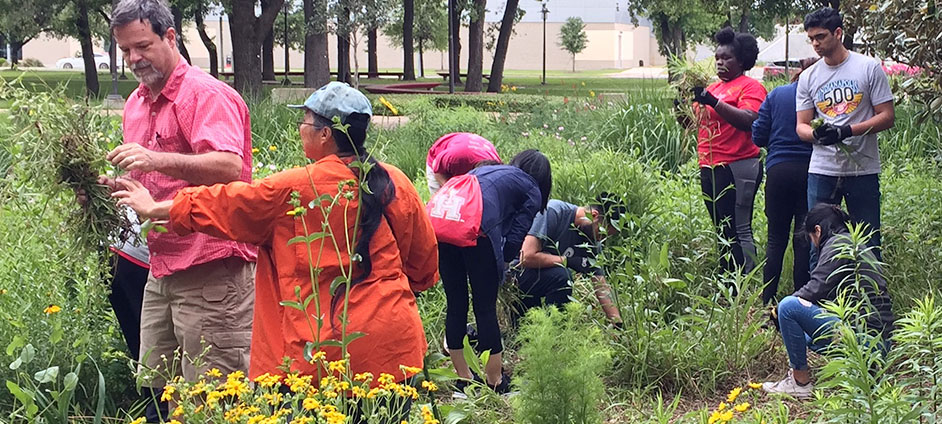 Volunteers helping maintain Shastas Prairie