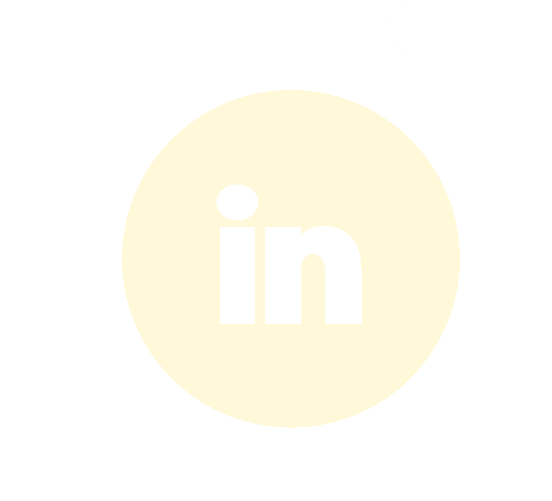 linkedin-icon