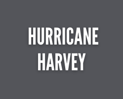 harvey title graphic