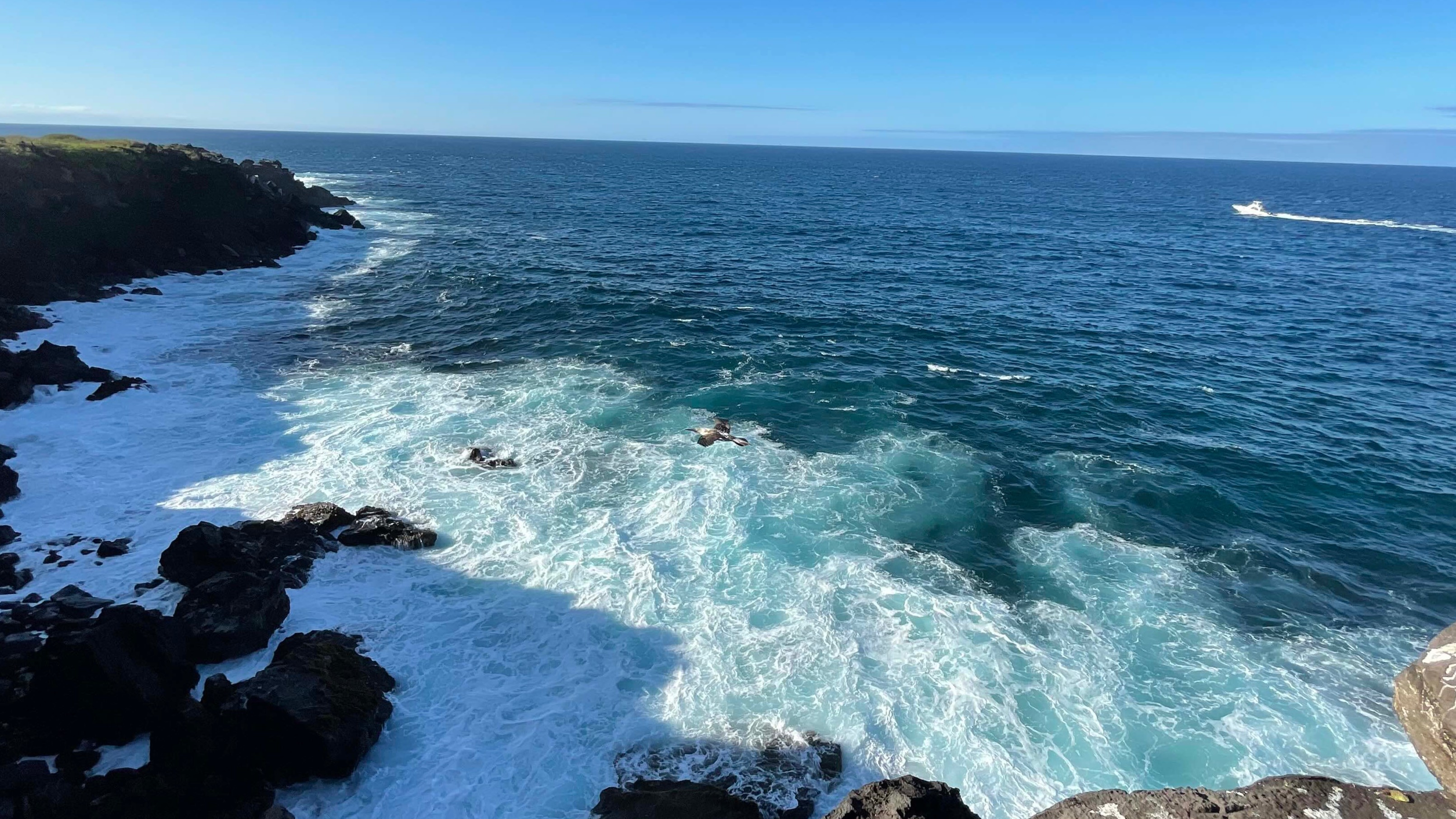 beach in the galapagos islands