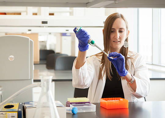 Testing Epilepsy Treatments in Lab