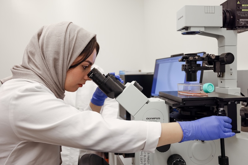 research and microscope