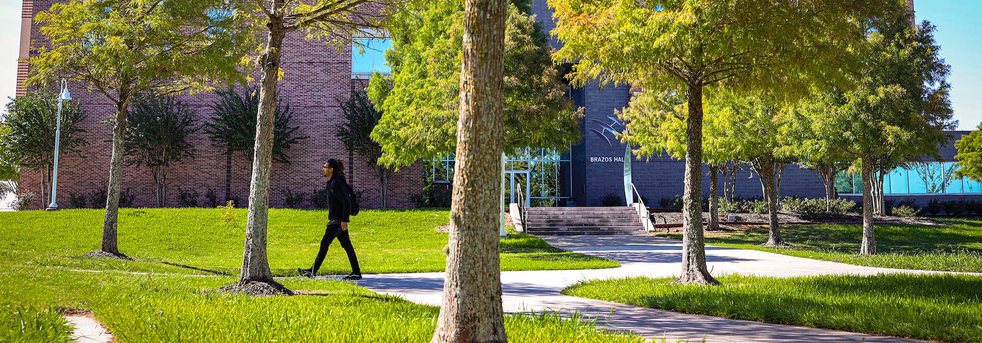 The outside of a building with green trees and a person walking in front of it.