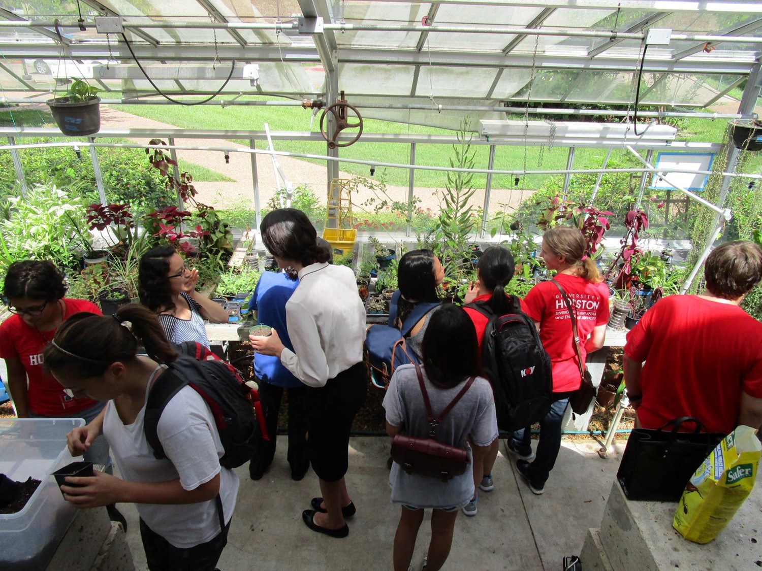 Plant Sale by the Horticulture Society